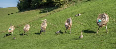 A grassy field with several large, spiral-shaped objects resembling scarecrows.