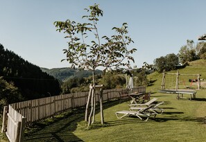 Outdoor dining - Holiday Apartment "Hof" with Mountain View, Balcony and Wi-Fi (Mühlenbach)