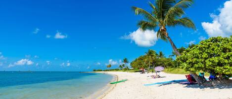 Sun-loungers, beach towels
