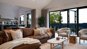 Smart-TV, Kamin