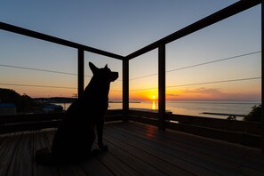Un chien est assis sur une terrasse en bois, d’où l’on peut admirer un coucher de soleil sur l’eau.