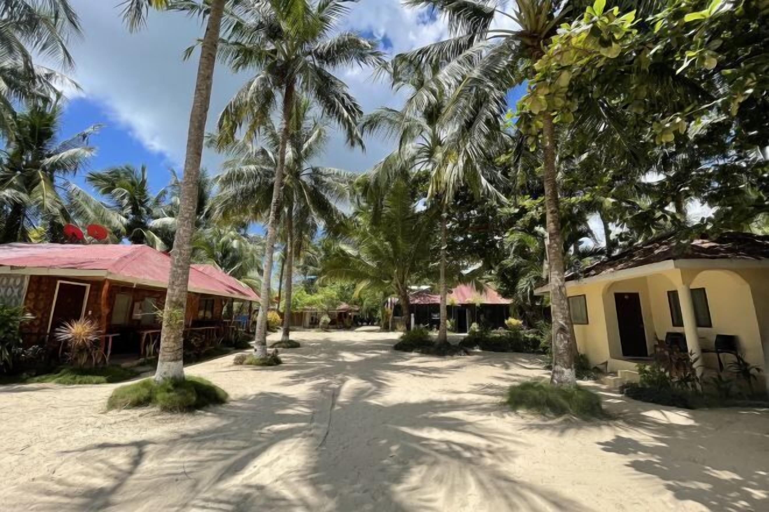 Escritorio, wifi gratis, ropa de cama