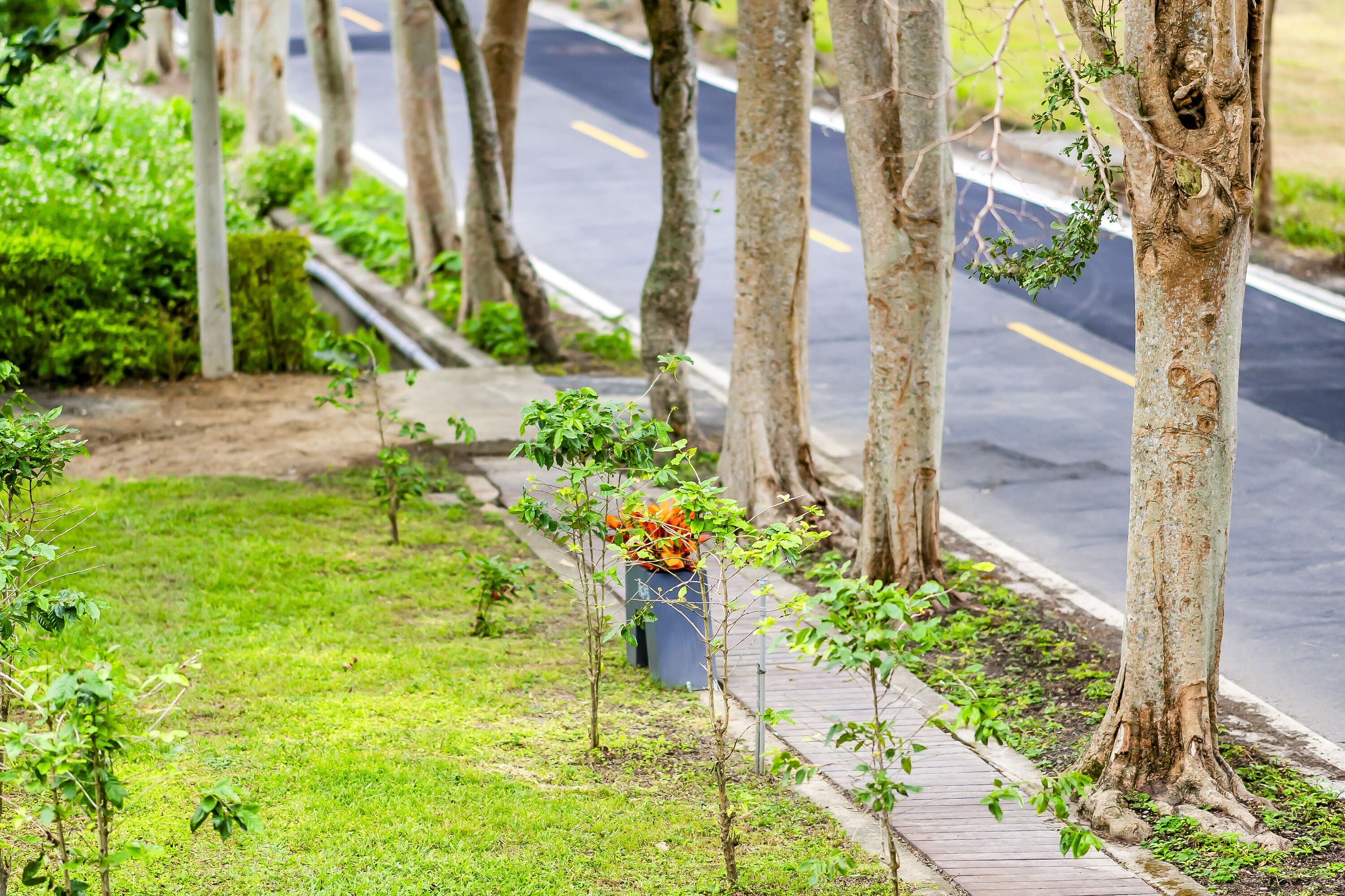 豪華雙人房-附陽台 | 客房景觀