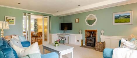 Smart TV, fireplace, books