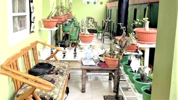 Un couloir étroit, de part et d’autre duquel se trouvent des plantes en pot, un banc en bois et une table sur laquelle sont disposés divers objets.