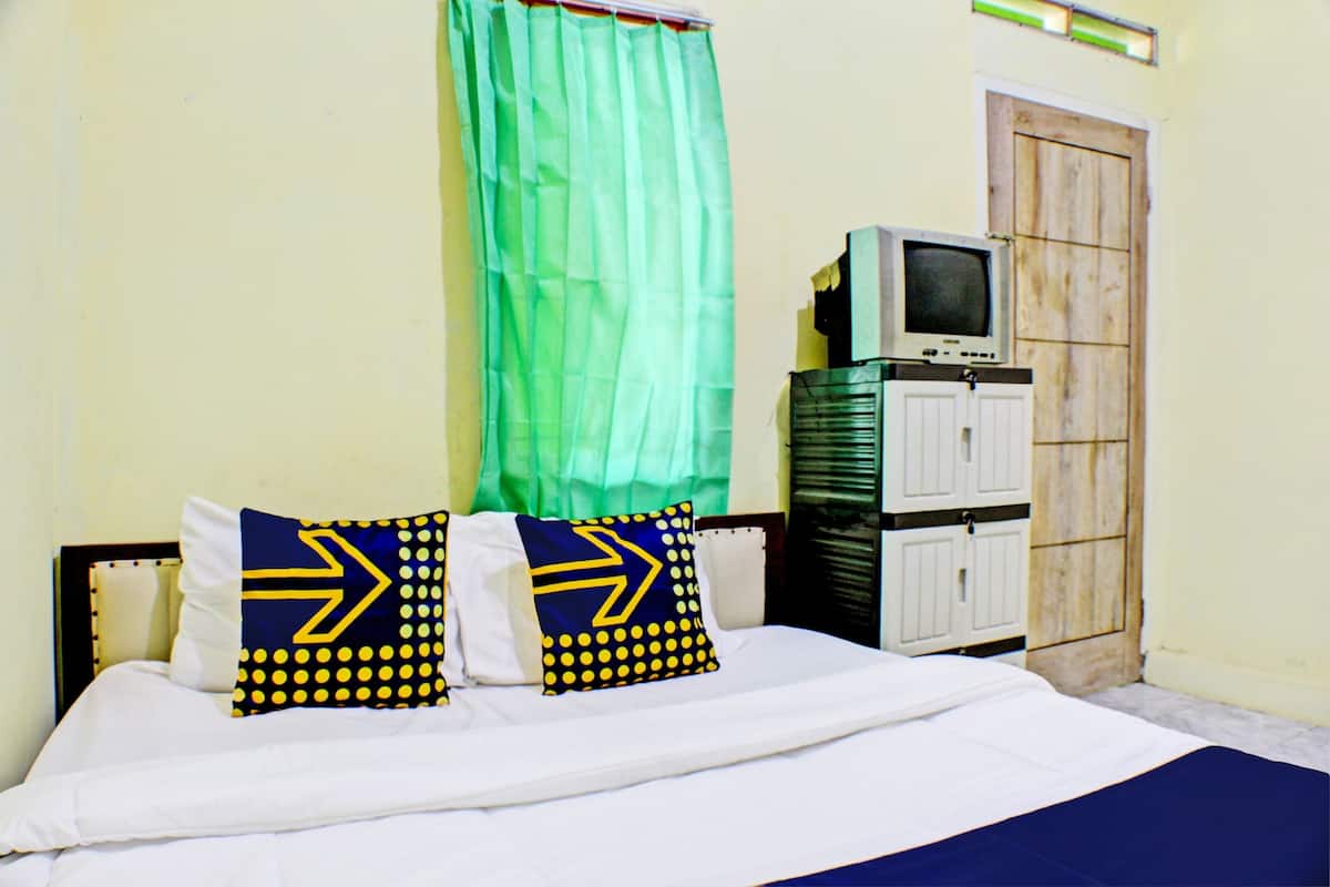 Un lit avec une literie blanche et deux coussins décoratifs, un rideau vert, un téléviseur posé sur un meuble et une porte en bois.