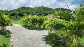 Property grounds - Amazing & Relaxing Vacation Home
Gated 2brm/2bth
(Lucea)