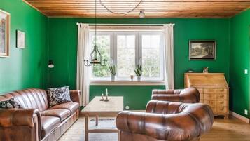 Een televisie en een open haard