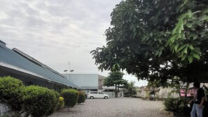 Eksteriør