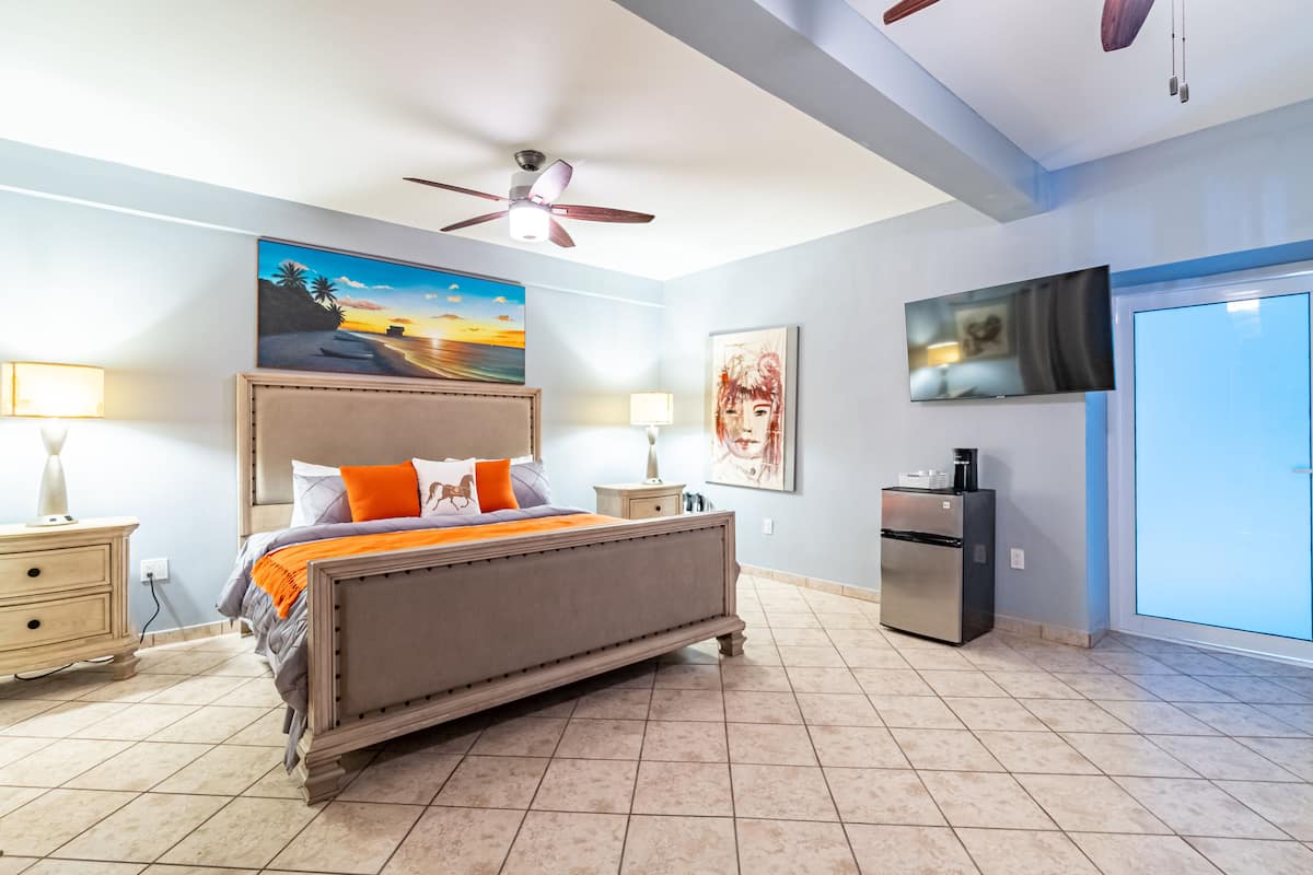 A bedroom with a bed, a ceiling fan, a TV, a refrigerator, and artwork on the walls.