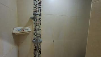 Ducha, toallas, papel higiénico