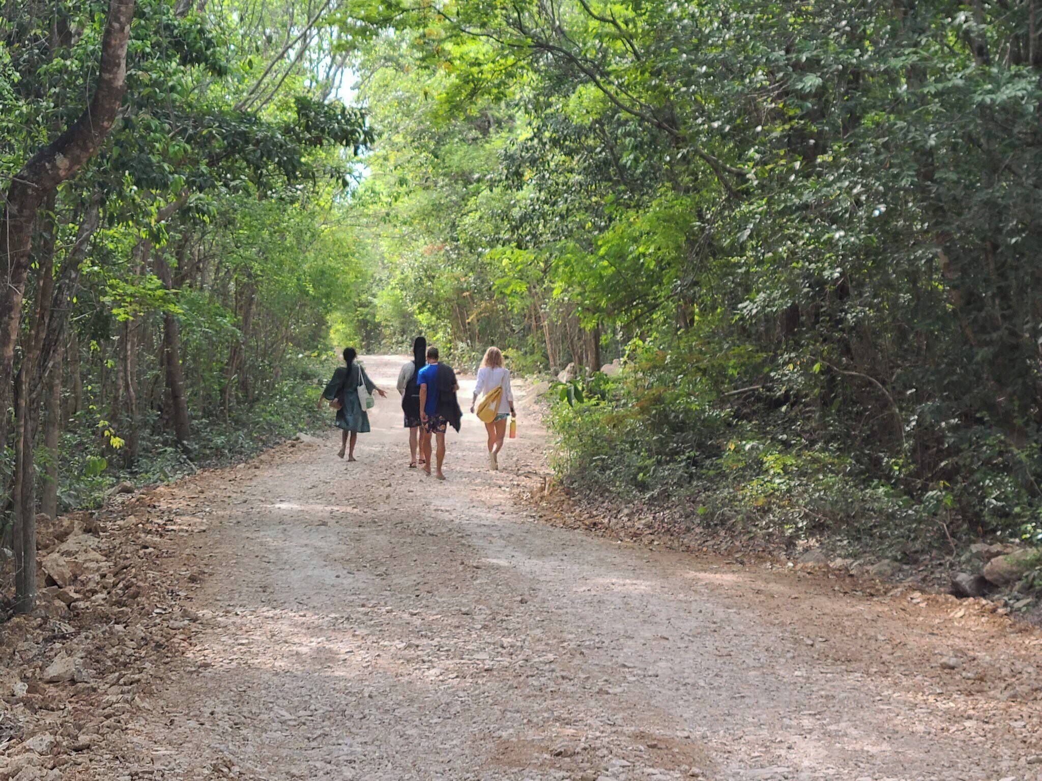 A dirt path through a forest with trees on both sides.