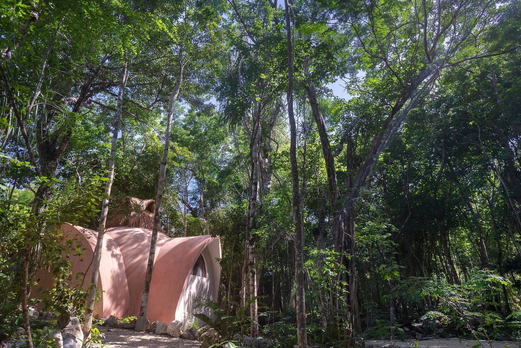 Una estructura en forma de tienda de campaña de color rosa en un área boscosa con árboles densos y rocas.