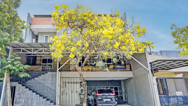 Un bâtiment à deux étages, avec une voiture garée dans l’allée et un arbre aux fleurs jaunes devant.