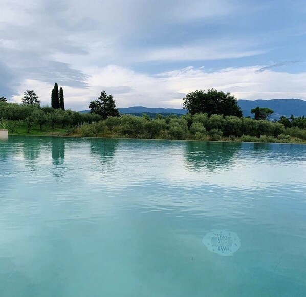 Pool - Villa Pacini - Just 1,8 km Outside Lucca Wall - Pool (Lucca)