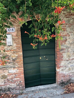 Property grounds - Villa Pacini - Just 1,8 km Outside Lucca Wall - Pool (Lucca)