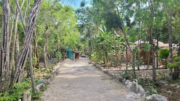 Property grounds