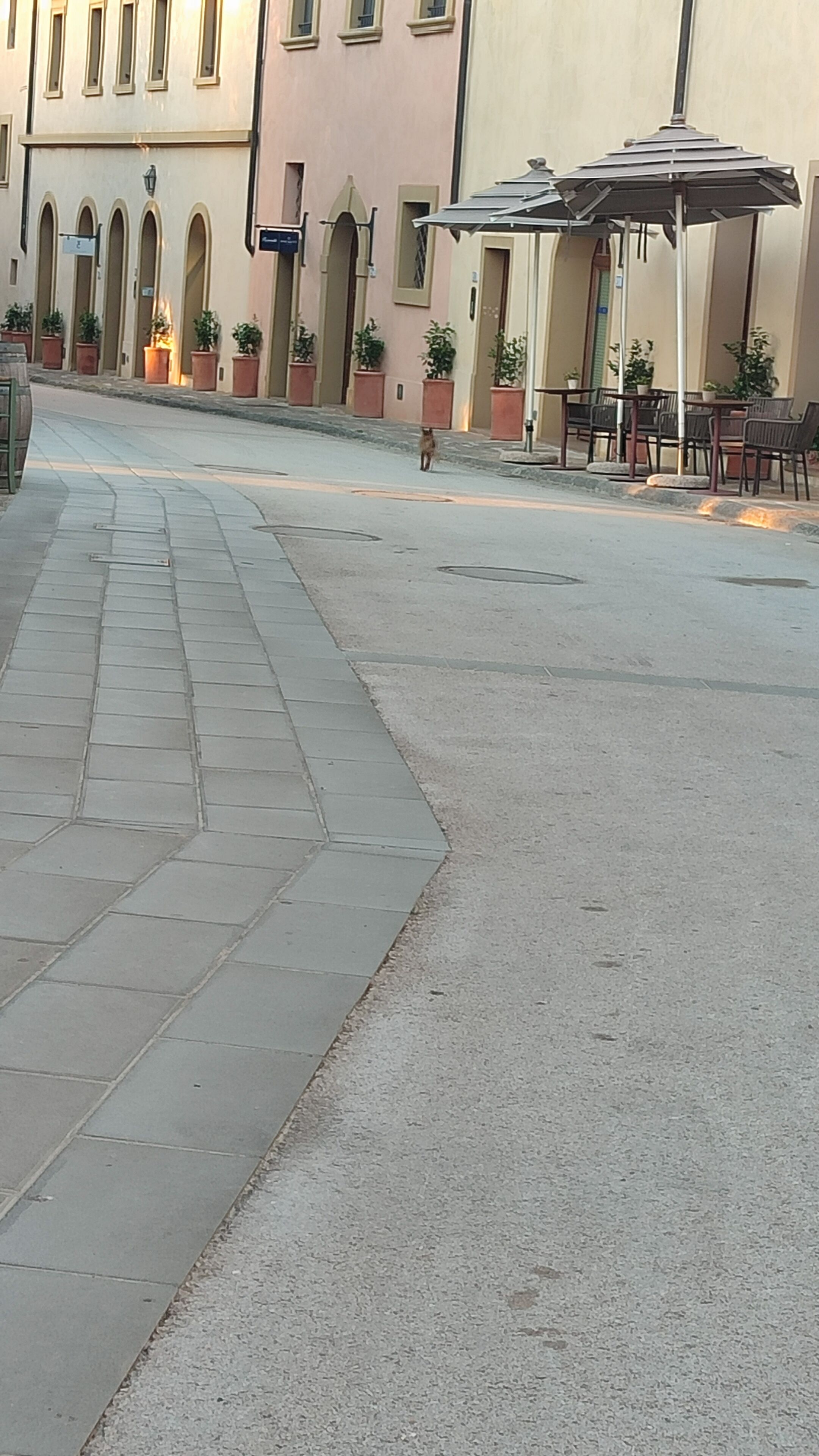 A paved street with a sidewalk, potted plants, and outdoor seating.