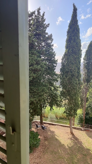 A view through a window of a garden area with tall trees, a pathway, and a bench. - Divinely situated in front of the Castle of Castelfalfi, in the heart of Tuscany (Florence)