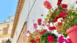 A building with multiple red flower pots hanging on the wall, each containing vibrant flowers. - Loft 18 Beach Front Marbella - EaW Homes (Marbella)
