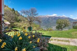 Un jardí amb narcisos, un cobert verd i un paisatge de muntanya al fons.