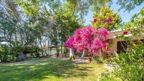 A garden with a large pink bougainvillea tree, a wooden pergola, and a small building with a tiled roof. - Villa Flores - Close to the Amendoeira Golf Resort! (Pêra)