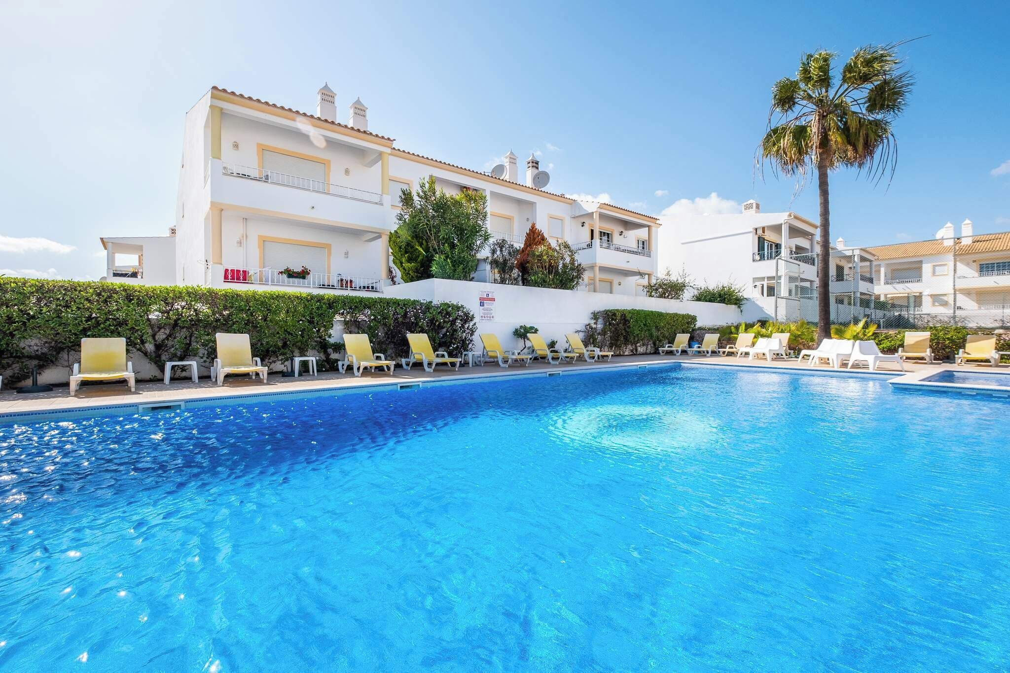 A swimming pool with lounge chairs, a white building with balconies, and a palm tree.