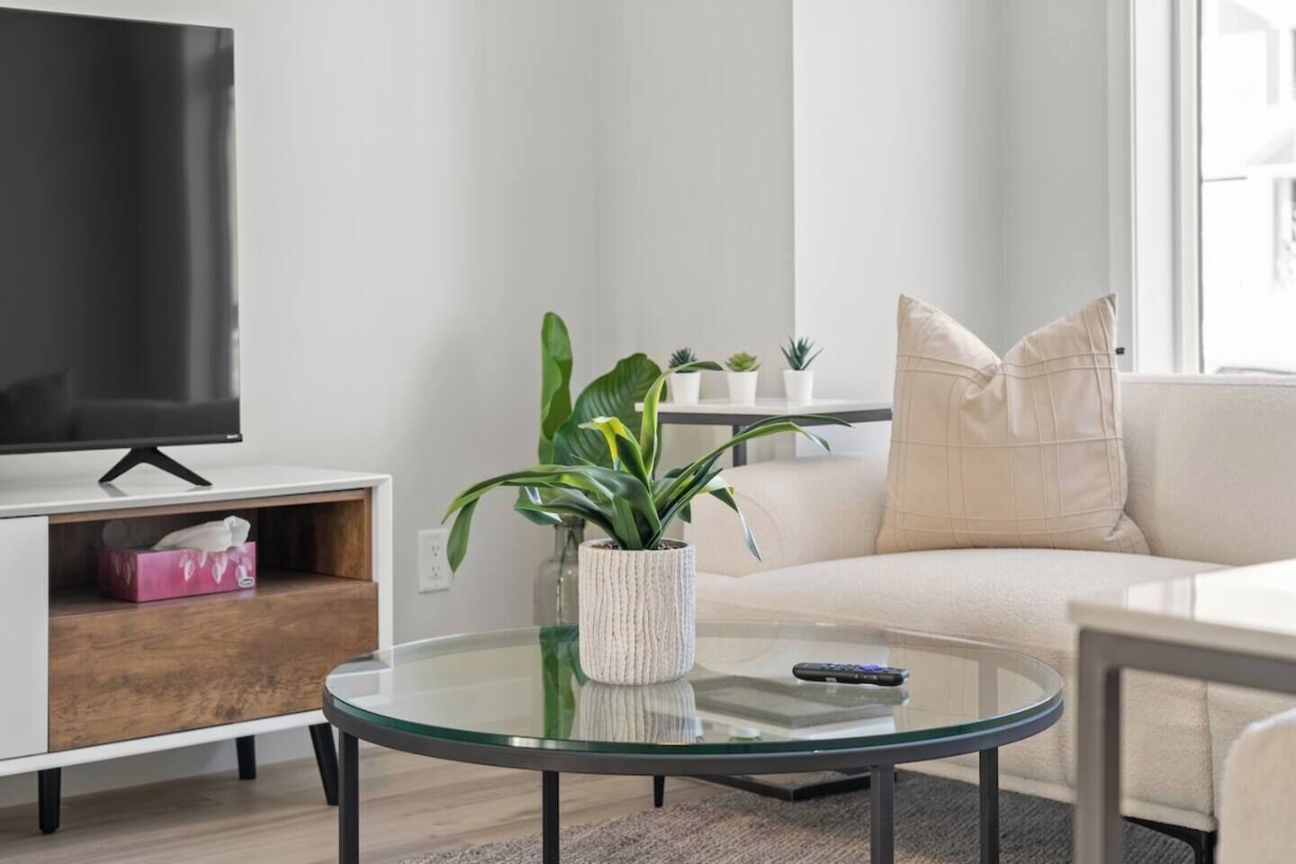 A modern living room with a flat-screen TV, a glass coffee table, a sofa, and a potted plant.