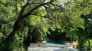 An outdoor seating area with a pool, surrounded by lush greenery and trees. - Muong Retreat (Thong Nhat)