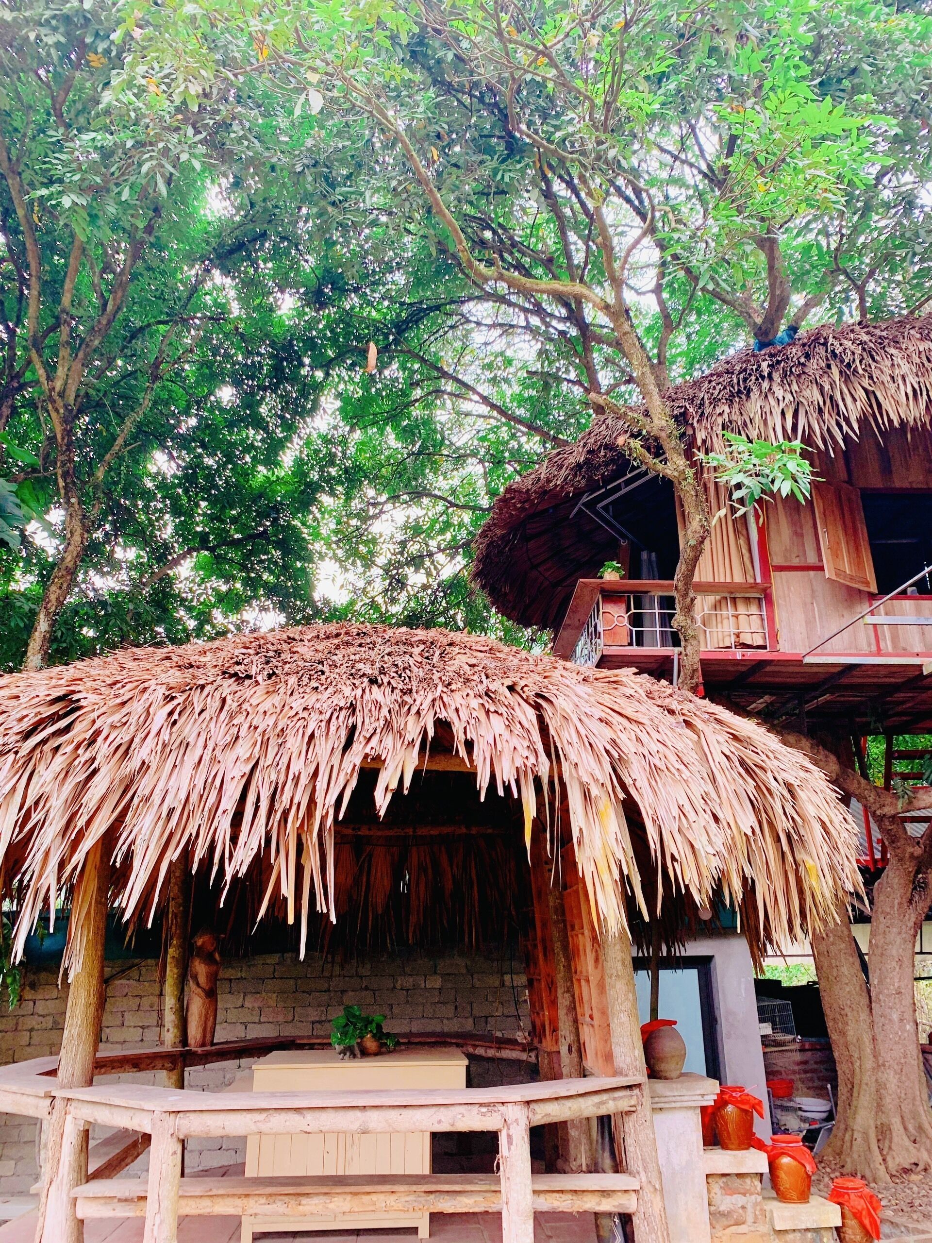 A rustic wooden structure with a thatched roof, surrounded by lush greenery.