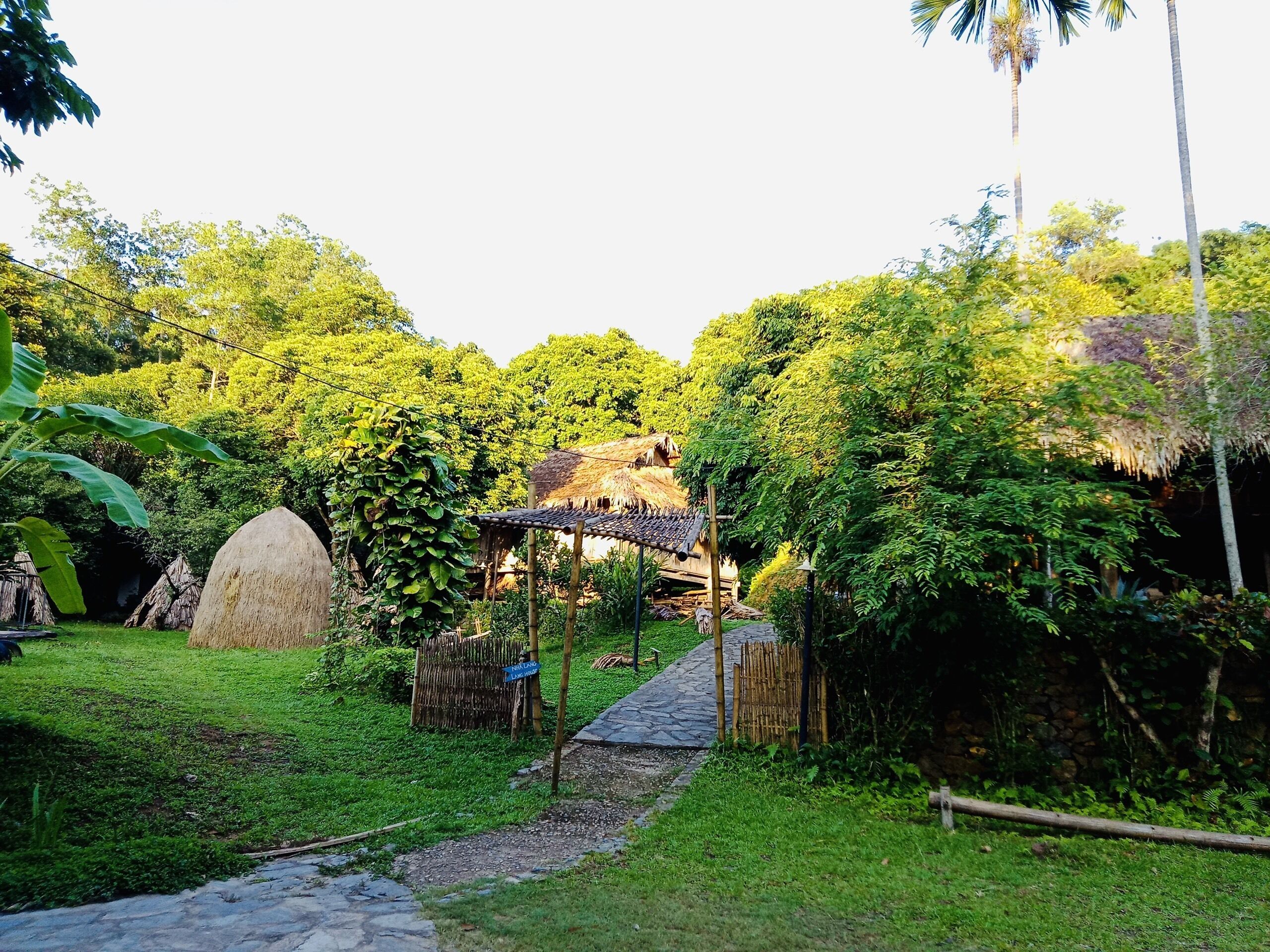 A rustic garden with a stone pathway leading to a thatched-roof structure.