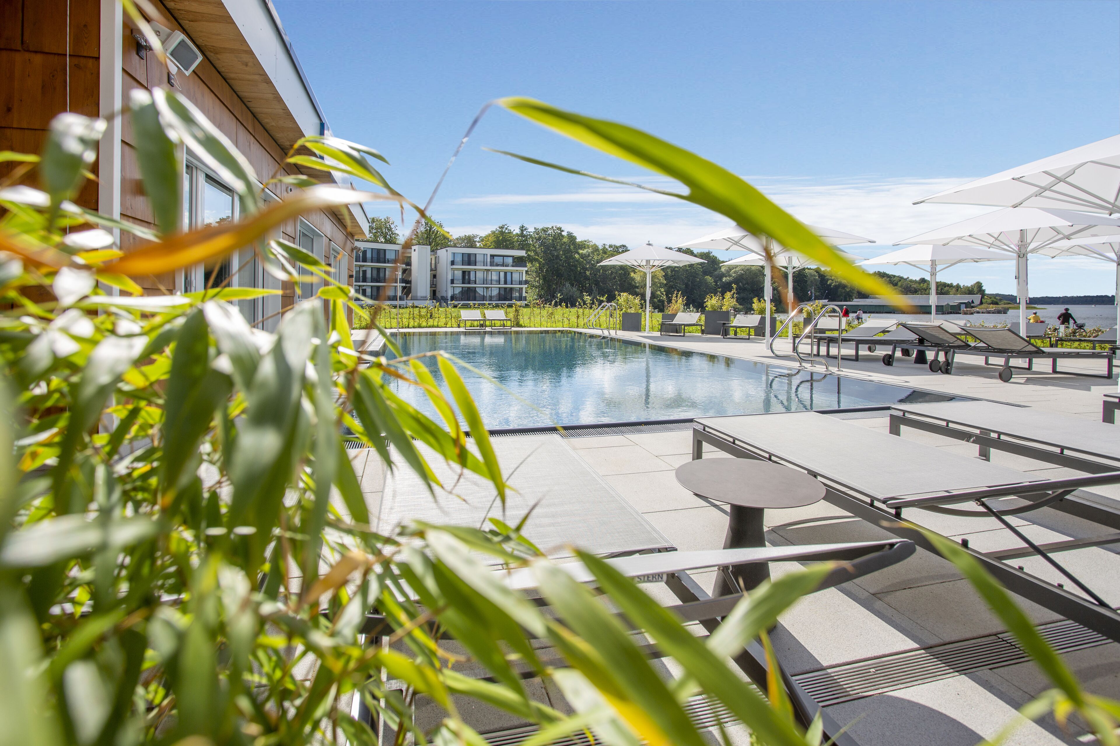 Zona de piscina con sillones de descanso y sombrillas, rodeada de vegetación y vistas a un edificio.