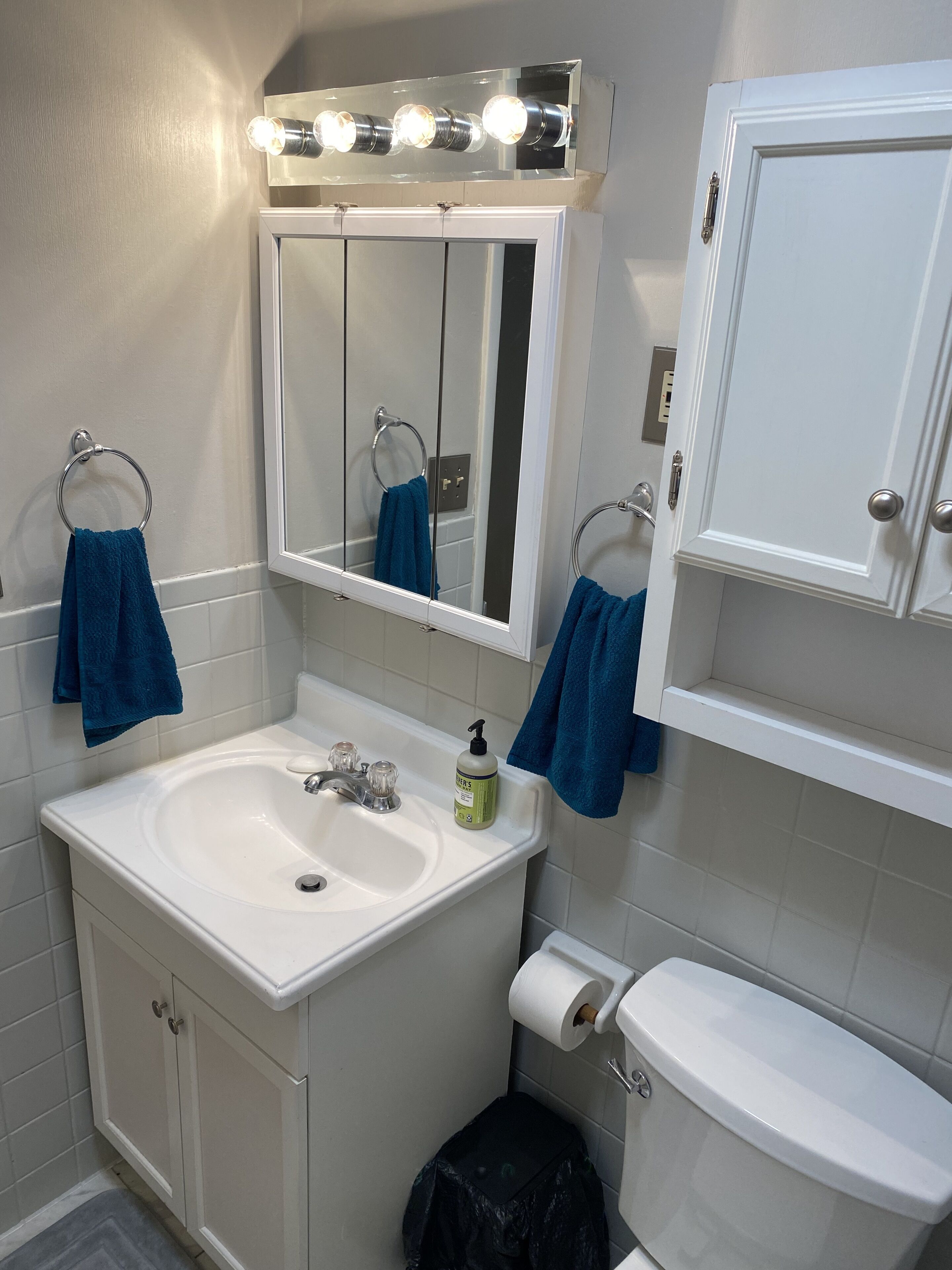 Hair dryer, towels, soap, toilet paper