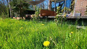 A grassy area with dandelions in front of a modern building with large windows and a brick facade.
