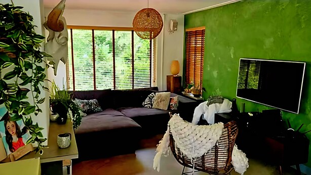 A living room with a sofa, a large plant, a hanging light fixture, and a TV mounted on a green wall.