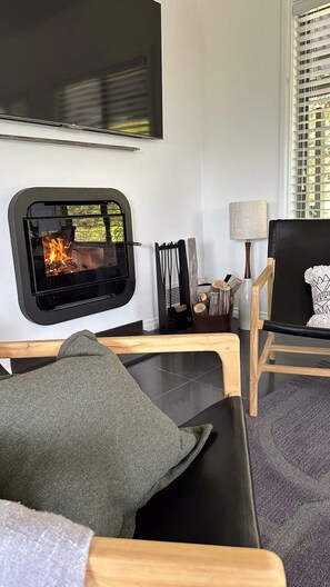 Smart TV, fireplace, video library