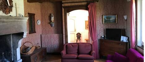Een woonkamer met een open haard, een bank, een televisie en een kamerkleed met een patroon.