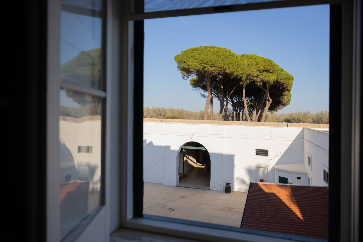 A view through a window of a building with a courtyard, featuring a tree and a small archway.