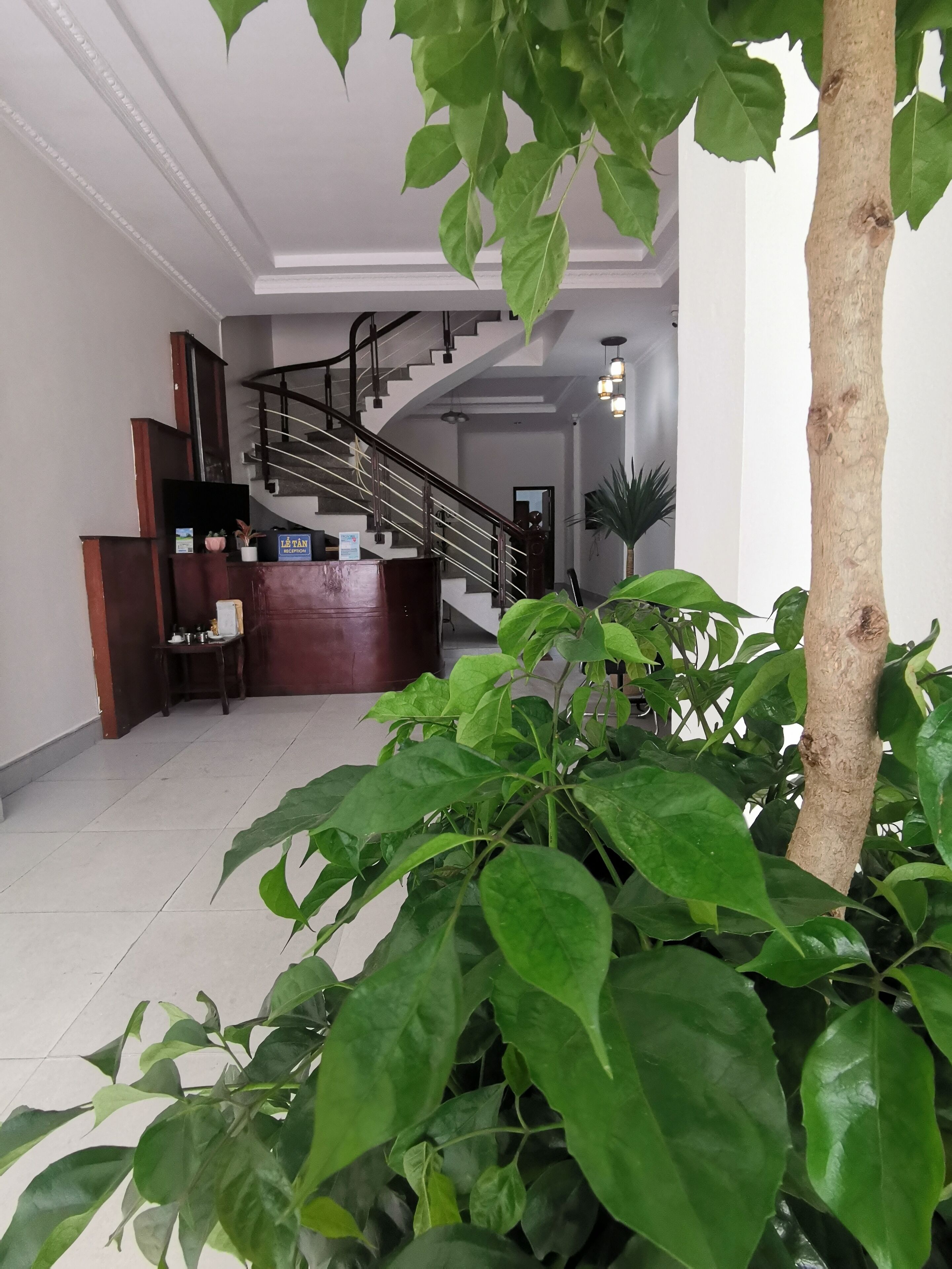 A reception area with a staircase, reception desk, and potted plants.