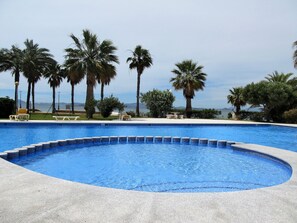 Una piscina con vista despejada al océano y palmeras al fondo.