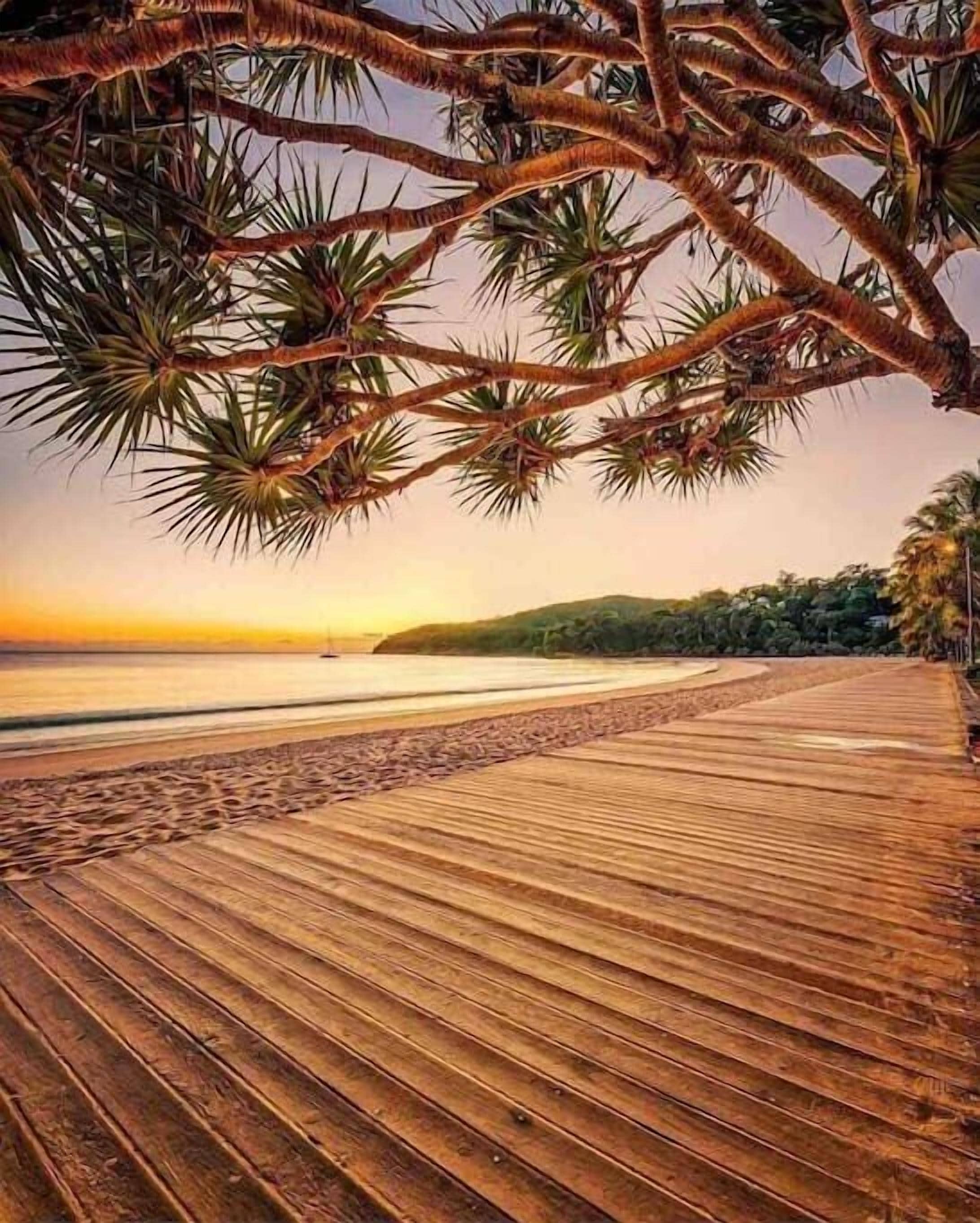 A wooden boardwalk leading to a beach with palm trees overhead.