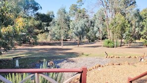 Property grounds - River Cottage Retreat - Jalbarragup (Jalbarragup)