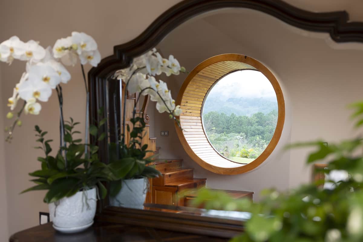 A round mirror with a view of a forested landscape.