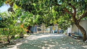 A paved courtyard with a metal gate, surrounded by trees and potted plants. - SPOT ON 93144 Homestay H. Syarif Syariah - Bandar Gresik 2 (Gresik)