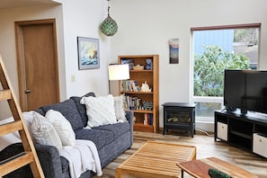 TV connectée, cheminée, livres