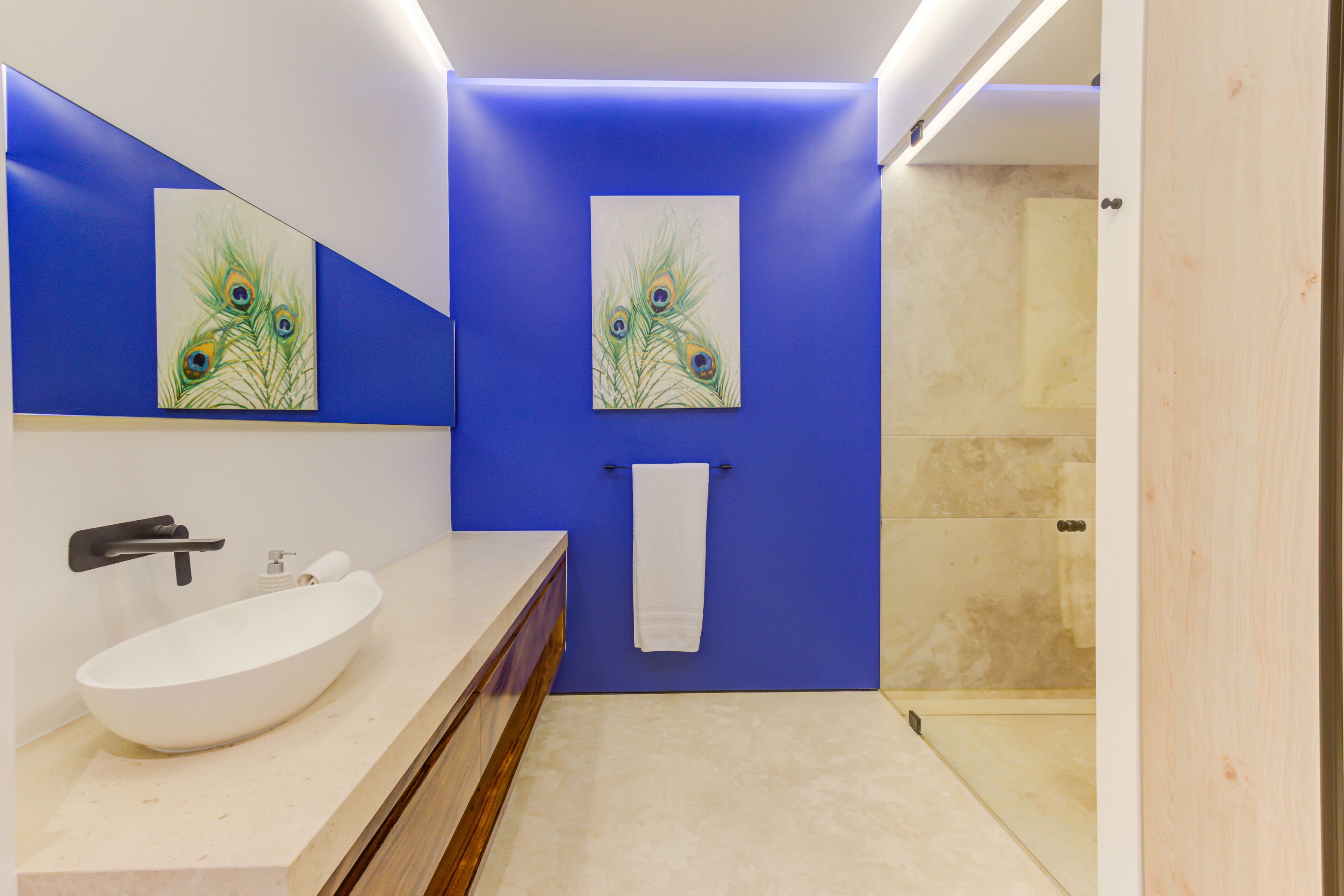 Een moderne badkamer met een witte wastafel, blauwe accentmuren en kunstwerken met pauwveertjes.