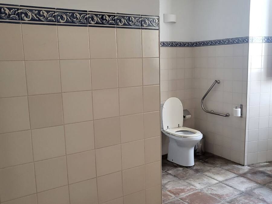 A bathroom with a toilet, a handrail, and a tiled floor.