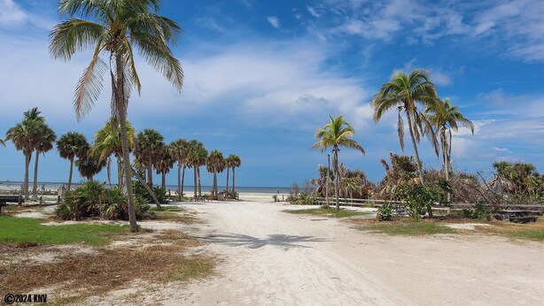 Un sentier sablonneux qui mène à une plage bordée de palmiers, sous un ciel bleu et dégagé.