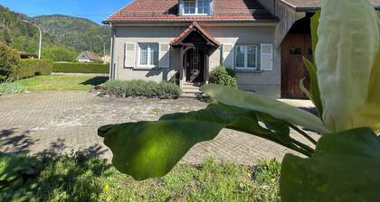 Calm, spacious and relaxing holiday home in the heart of the Vosges mountains