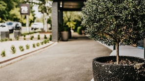 Property grounds - The Amalfi 20 bedrooms, exclusive use (Hepburn Springs)